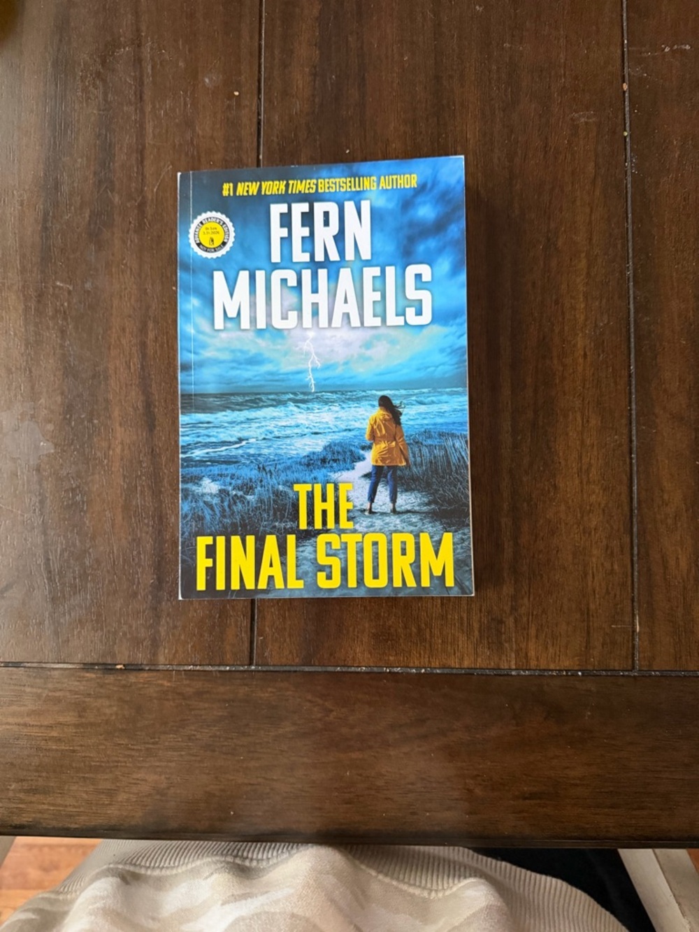 Michaels The Final Storm - Blue Cover